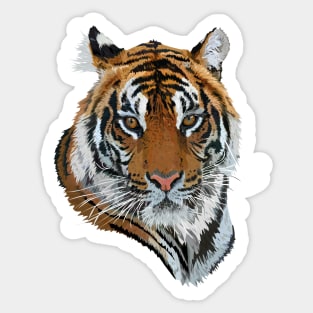 Bengal tiger Sticker